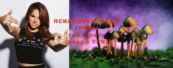 шишки Краснослободск