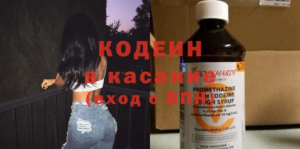 шишки Краснослободск