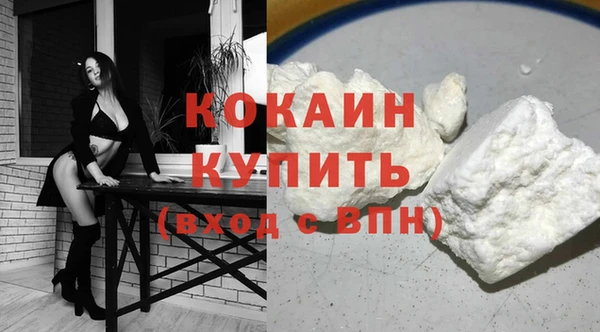 шишки Краснослободск